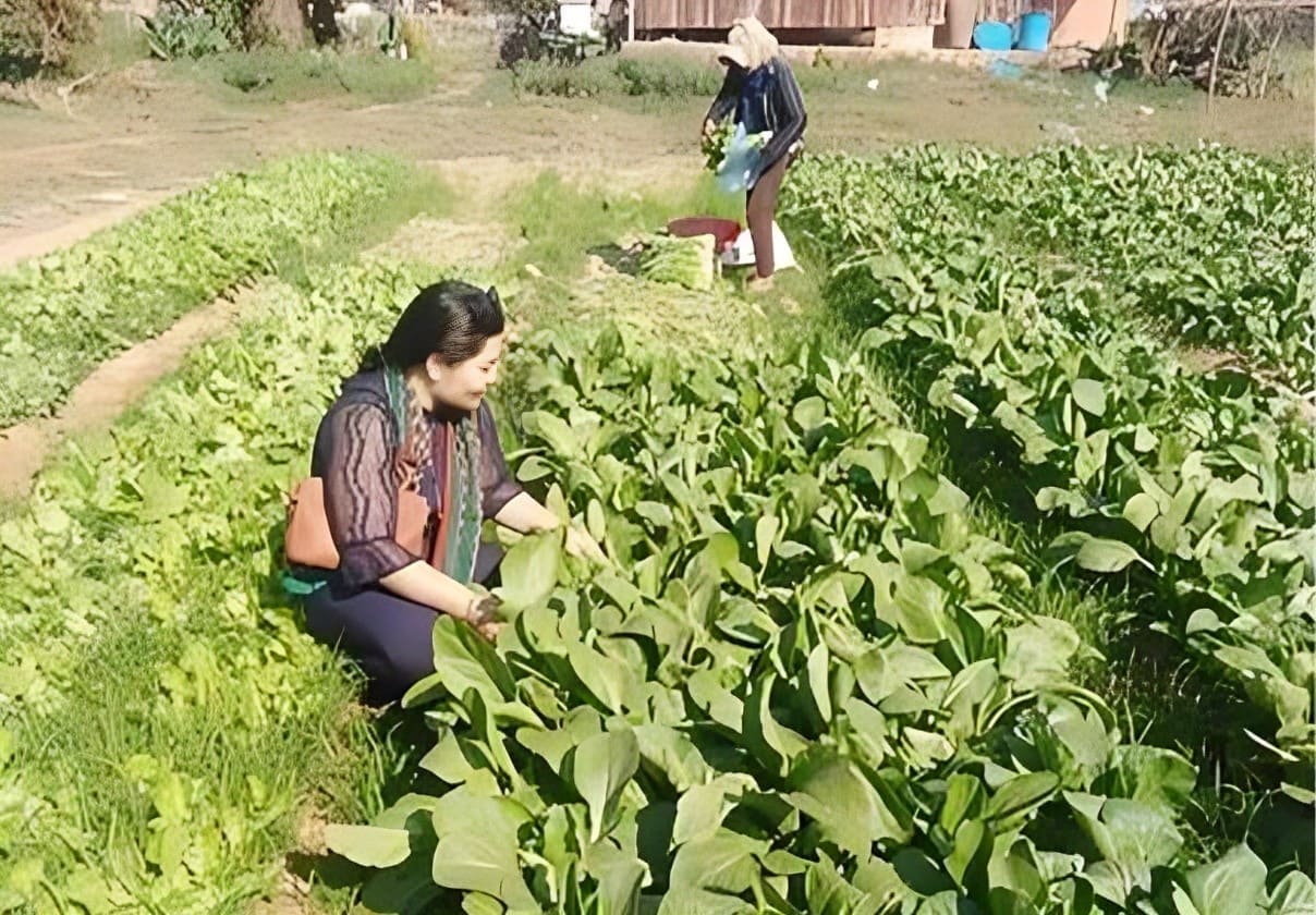 Community Support golden pumpkin indoor meeting